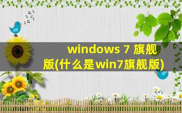 windows 7 旗舰版(什么是win7旗舰版)
